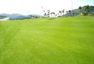 Diamond Bay Golf & Villas